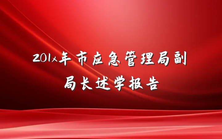 201x年市应急管理局副局长述学报告