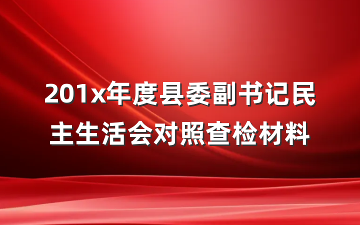 201x年度县委副书记民主生活会对照查检材料