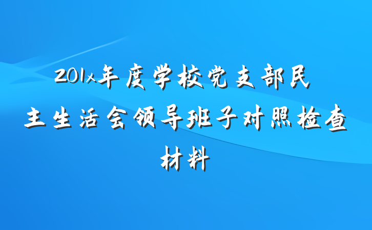 201x年度学校党支部民主生活会领导班子对照检查材料