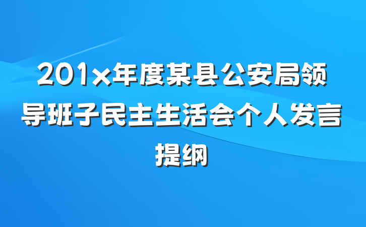 201x年度某县公安局领导班子民主生活会个人发言提纲