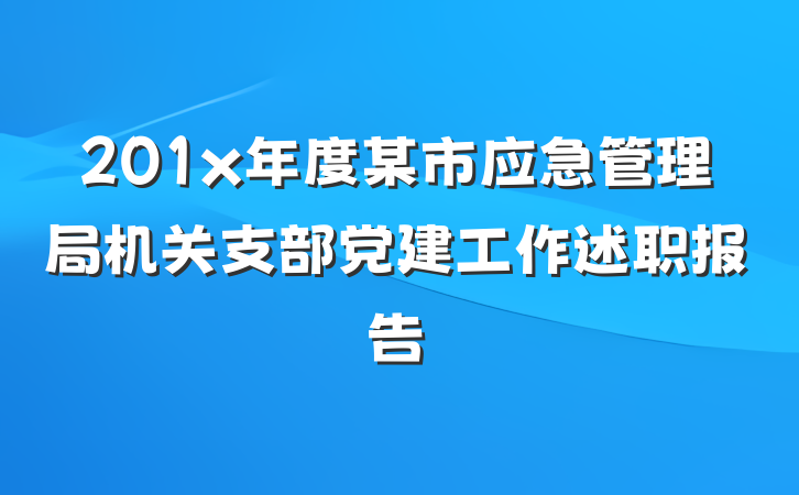 201x年度某市应急管理局机关支部党建工作述职报告