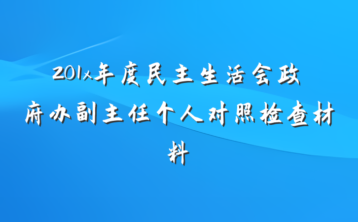 201x年度民主生活会政府办副主任个人对照检查材料