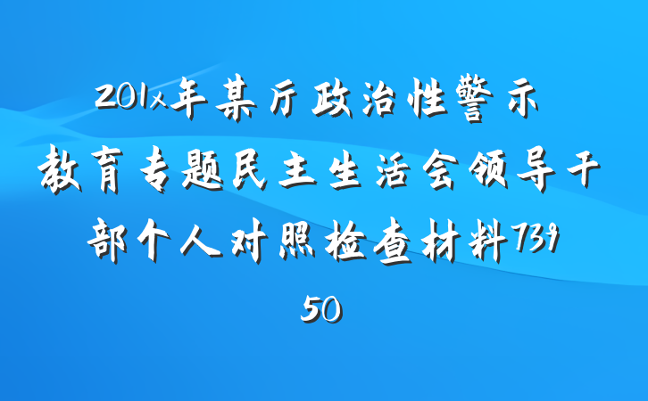 201x年某厅政治性警示教育专题民主生活会领导干部个人对照检查材料73950