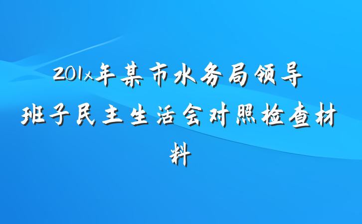 201x年某市水务局领导班子民主生活会对照检查材料