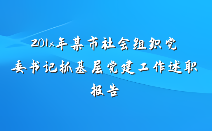 201x年某市社会组织党委书记抓基层党建工作述职报告