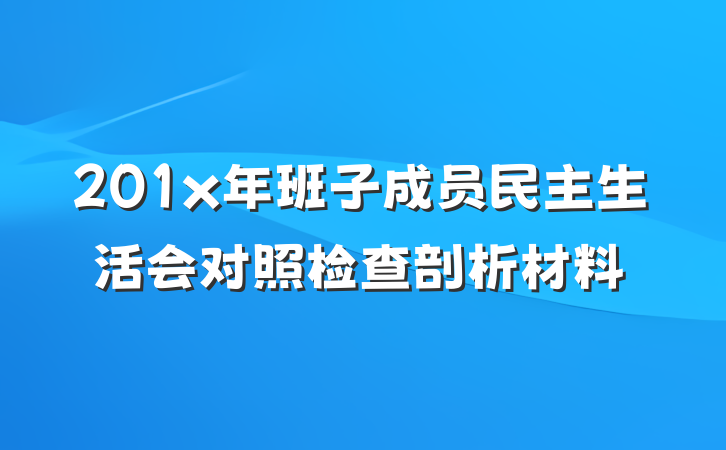 201x年班子成员民主生活会对照检查剖析材料