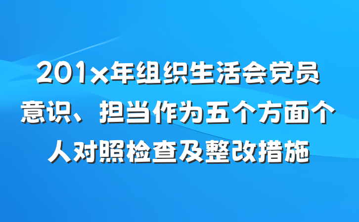 201x年组织生活会党员意识、担当作为五个方面个人对照检查及整改措施