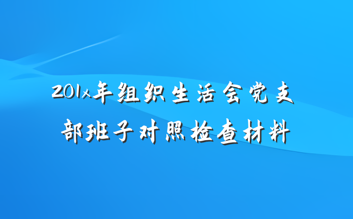 201x年组织生活会党支部班子对照检查材料