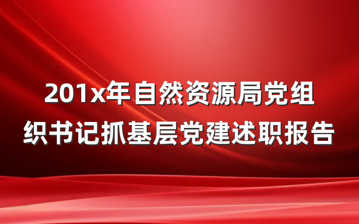 201x年自然资源局党组织书记抓基层党建述职报告