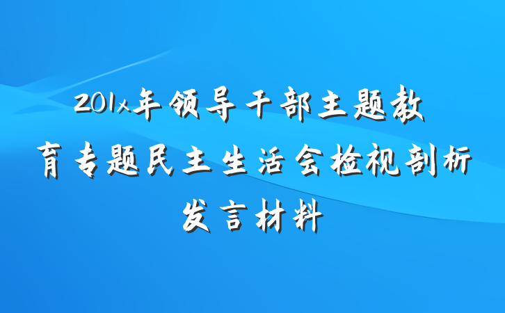 201x年领导干部主题教育专题民主生活会检视剖析发言材料