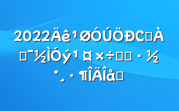 2022СѧͶʵʩƪ
