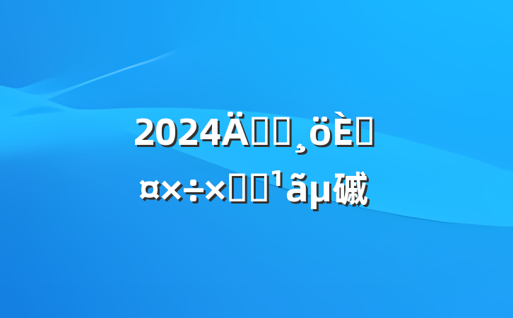 2024깫˾˹ܽᣨ磩