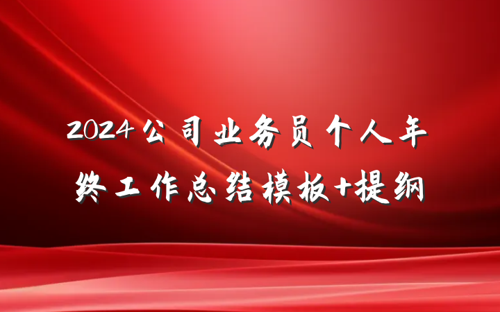 2024公司业务员个人年终工作总结模板 提纲
