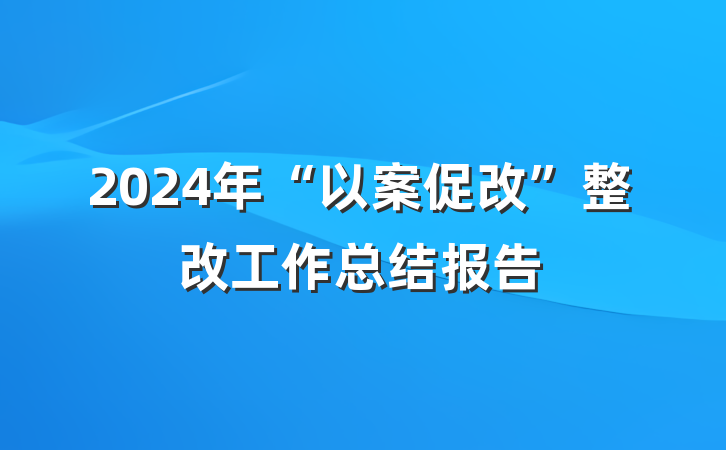 2024年“以案促改”整改工作总结报告