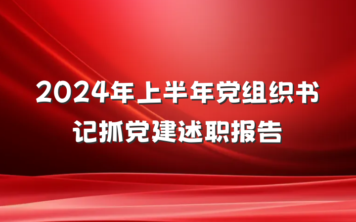 2024年上半年党组织书记抓党建述职报告