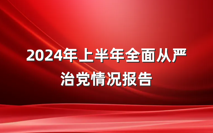 2024年上半年全面从严治党情况报告
