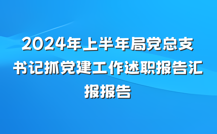 2024年上半年局党总支书记抓党建工作述职报告汇报报告