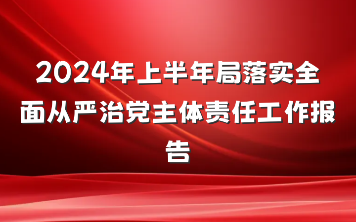 2024年上半年局落实全面从严治党主体责任工作报告