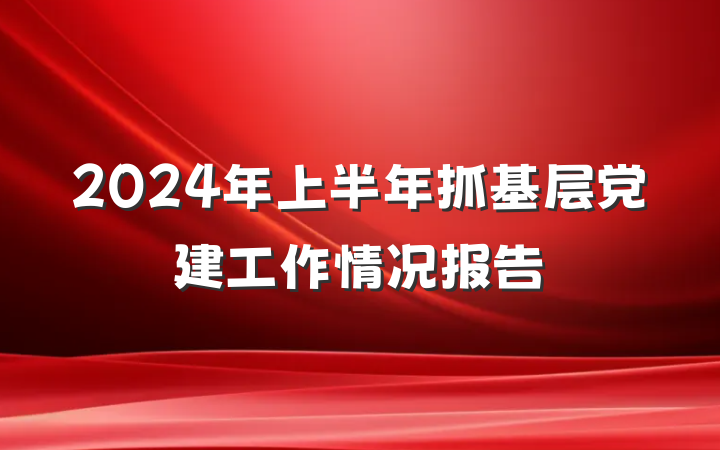 2024年上半年抓基层党建工作情况报告