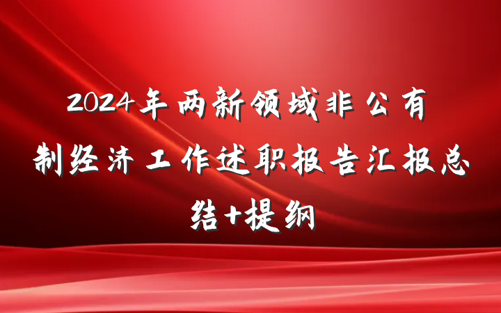 2024年两新领域非公有制经济工作述职报告汇报总结 提纲