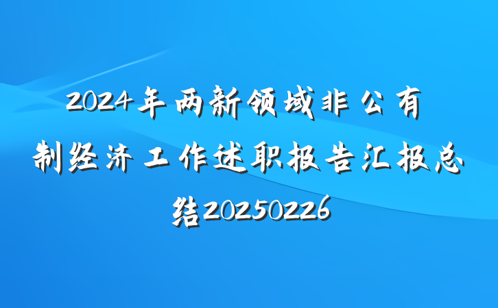 2024年两新领域非公有制经济工作述职报告汇报总结20250226