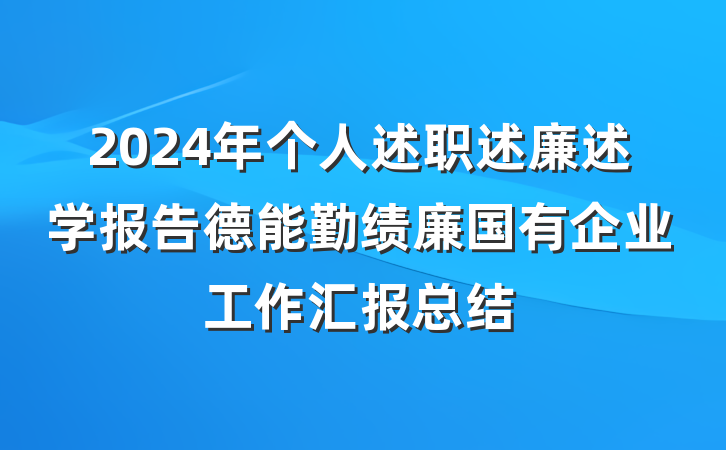 2024年个人述职述廉述学报告德能勤绩廉国有企业工作汇报总结