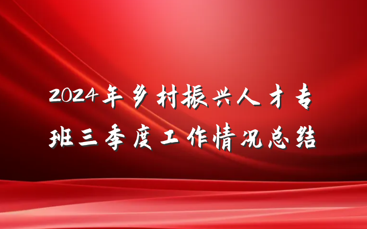 2024年乡村振兴人才专班三季度工作情况总结