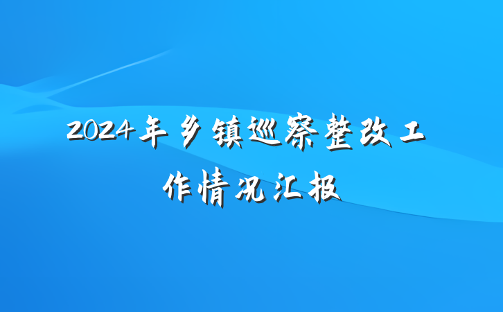 2024年乡镇巡察整改工作情况汇报