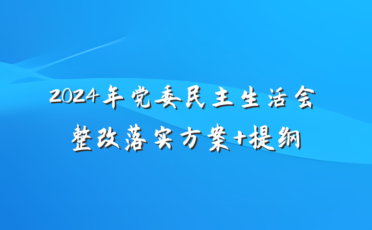 2024年党委民主生活会整改落实方案 提纲
