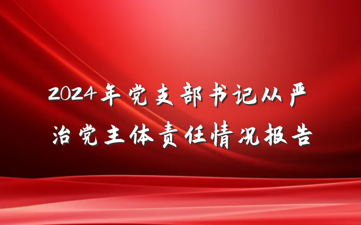 2024年党支部书记从严治党主体责任情况报告