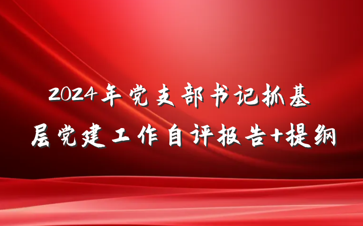 2024年党支部书记抓基层党建工作自评报告 提纲