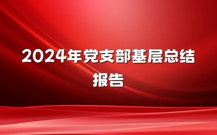 2024年党支部基层总结报告