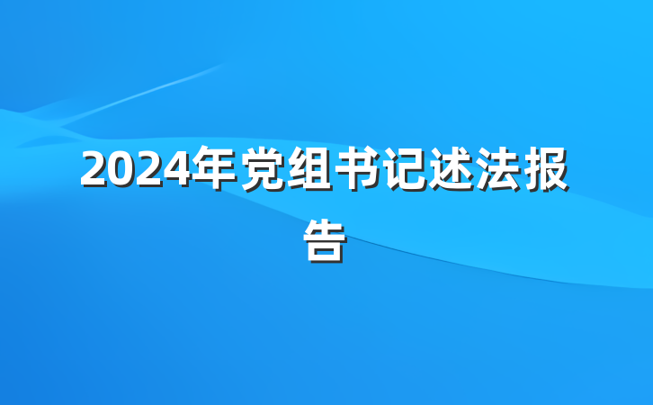2024年党组书记述法报告
