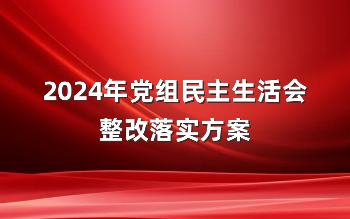 2024年党组民主生活会整改落实方案