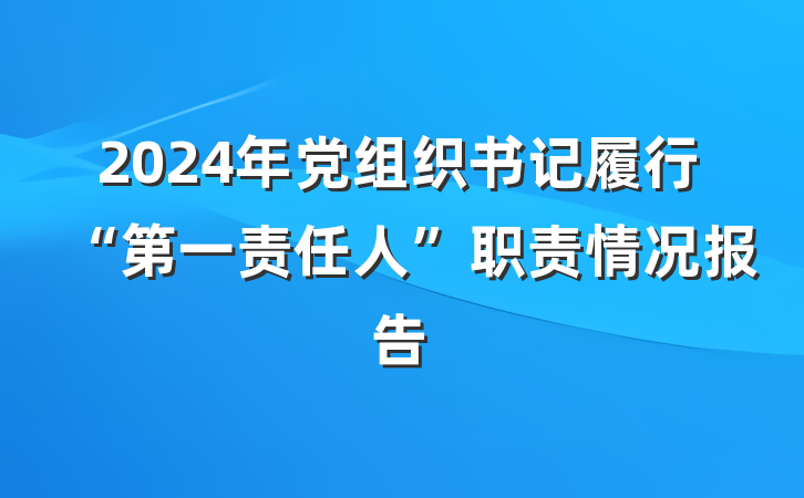 2024年党组织书记履行“第一责任人”职责情况报告