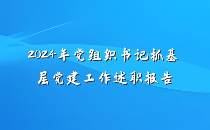 2024年党组织书记抓基层党建工作述职报告