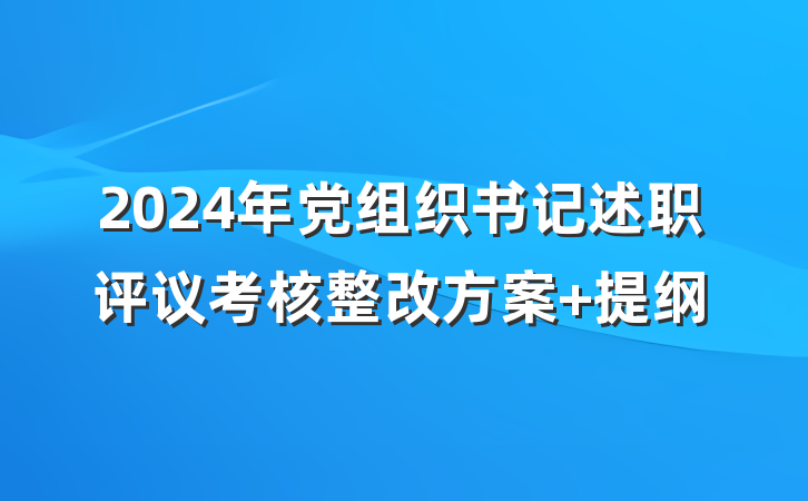 2024年党组织书记述职评议考核整改方案 提纲