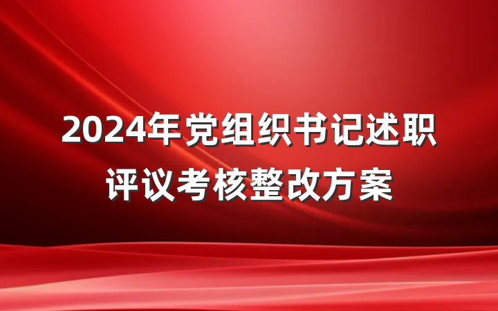 2024年党组织书记述职评议考核整改方案