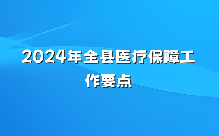 2024年全县医疗保障工作要点