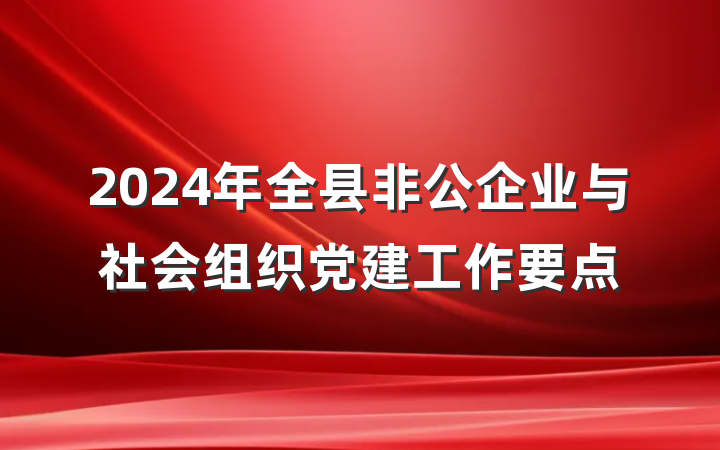 2024年全县非公企业与社会组织党建工作要点