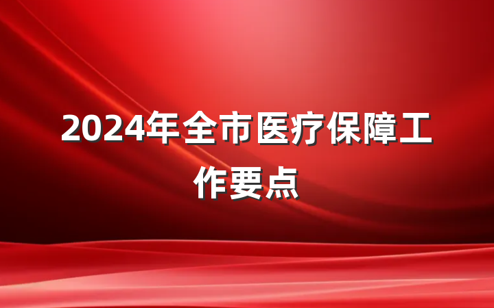 2024年全市医疗保障工作要点