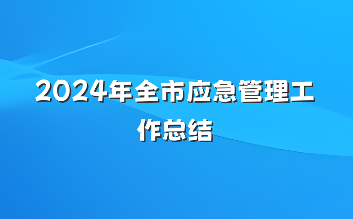 2024年全市应急管理工作总结