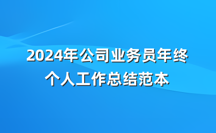 2024年公司业务员年终个人工作总结范本
