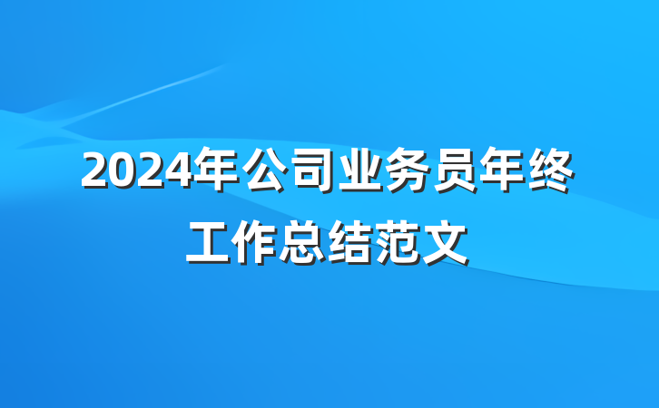 2024年公司业务员年终工作总结范文
