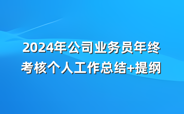 2024年公司业务员年终考核个人工作总结 提纲