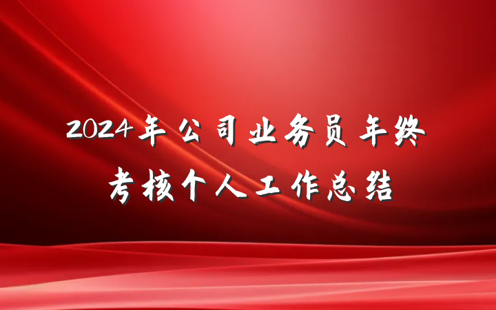 2024年公司业务员年终考核个人工作总结