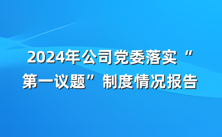 2024年公司党委落实“第一议题”制度情况报告
