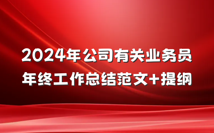 2024年公司有关业务员年终工作总结范文 提纲
