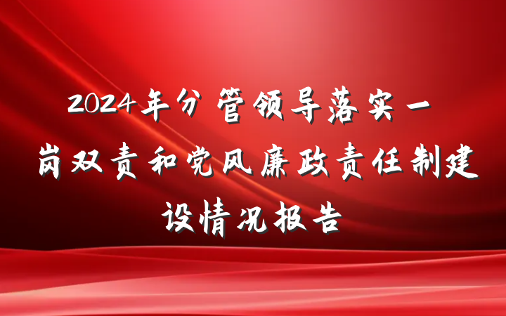 2024年分管领导落实一岗双责和党风廉政责任制建设情况报告