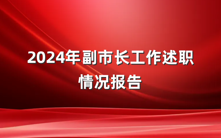 2024年副市长工作述职情况报告